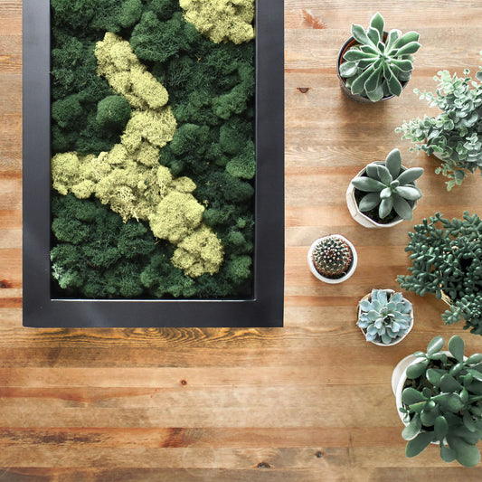 Black matte metal centerpiece tray filled with moss on farmhouse table with succulents.
