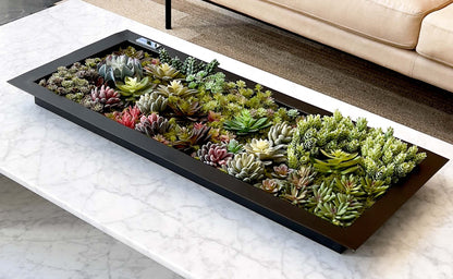 Black matte metal centerpiece tray filled with succulents on marble table.
