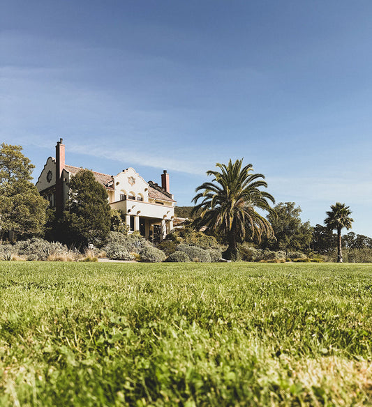 inside scribe winery in the hills of sonoma, california