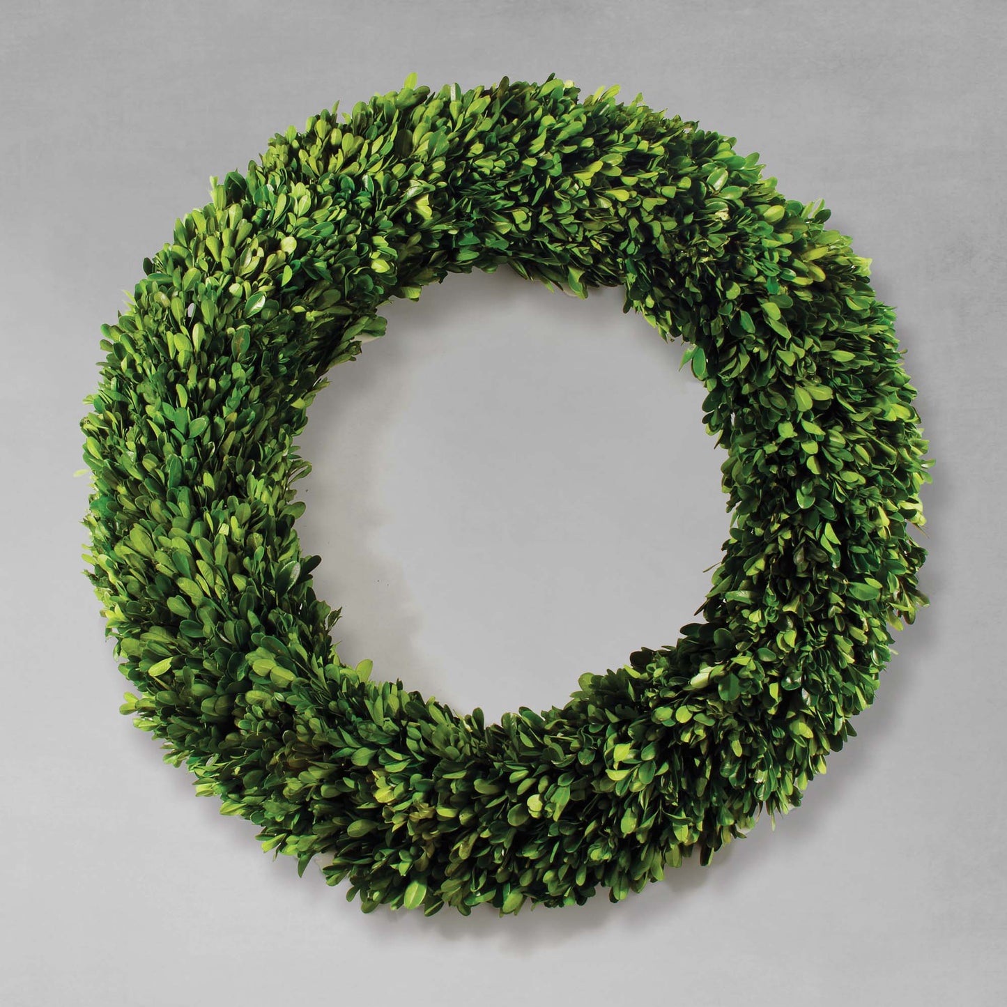 24" round preserved boxwood wreath with gray background.