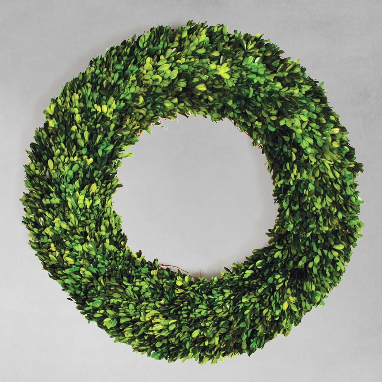 30" round preserved boxwood wreath with gray background.