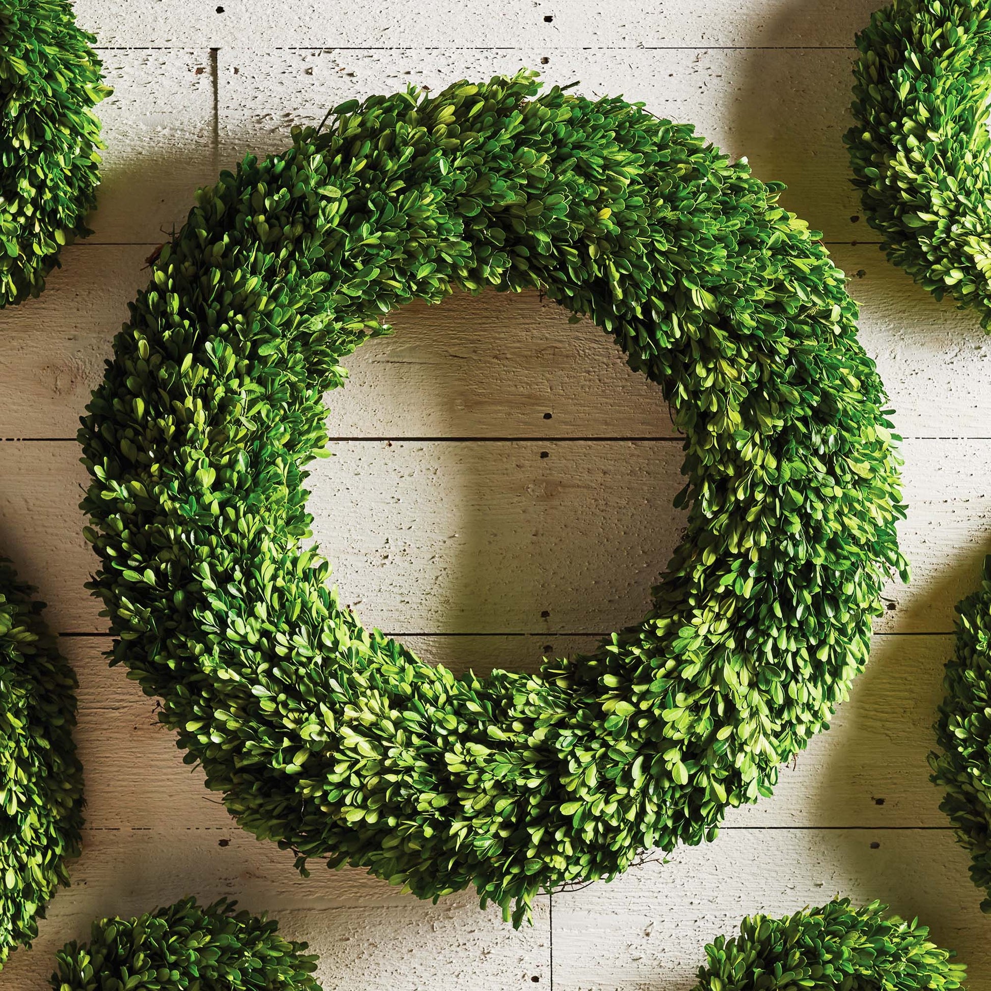 30" round preserved boxwood wreath hung on rustic shiplap wall.