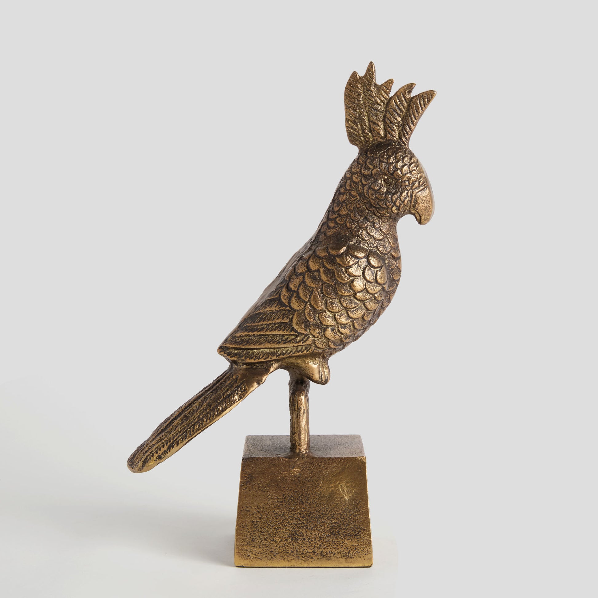Antique brass cast aluminum parrot sculpture - stylish home accent (Image3).