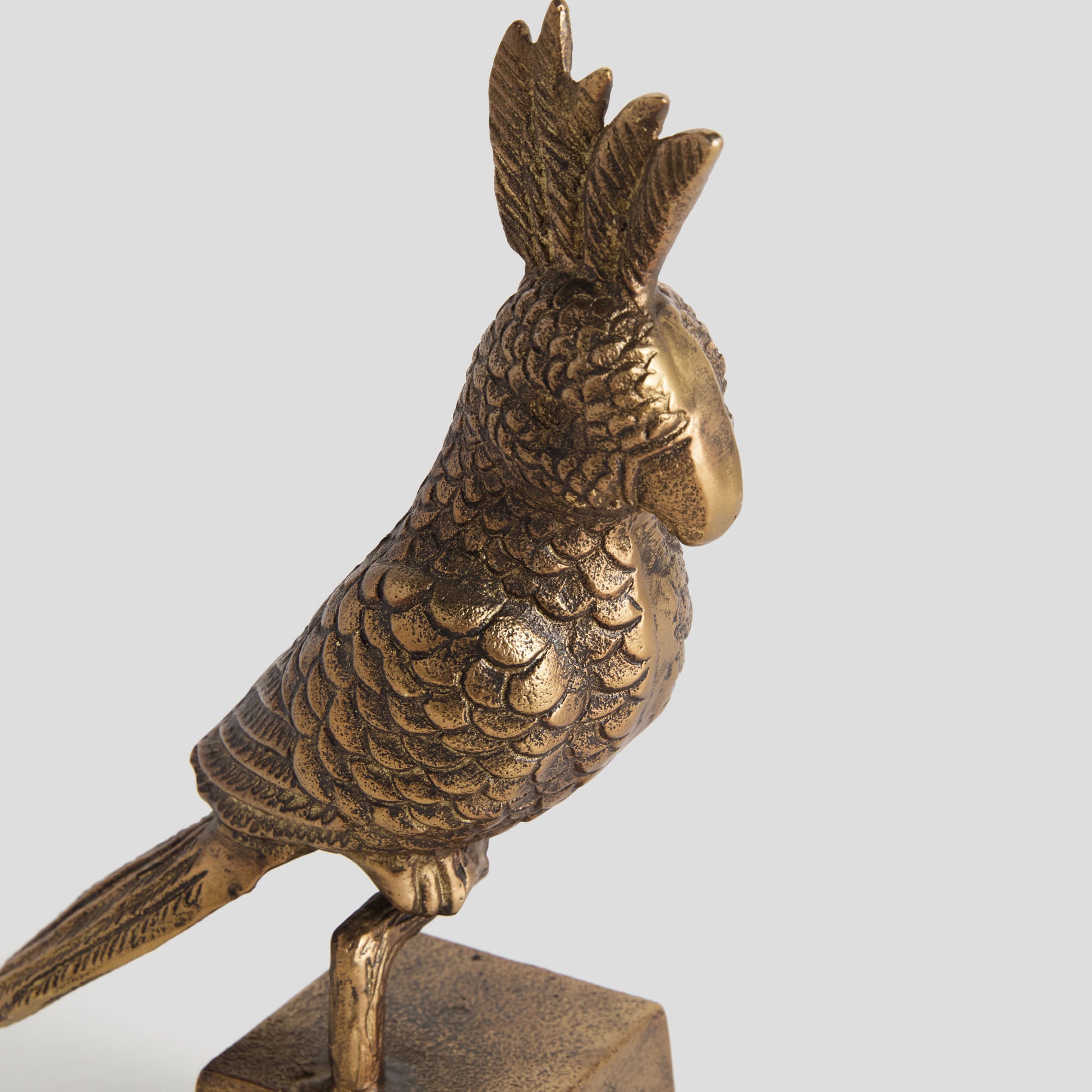 Antique brass cast aluminum parrot sculpture - stylish home accent (Image4).