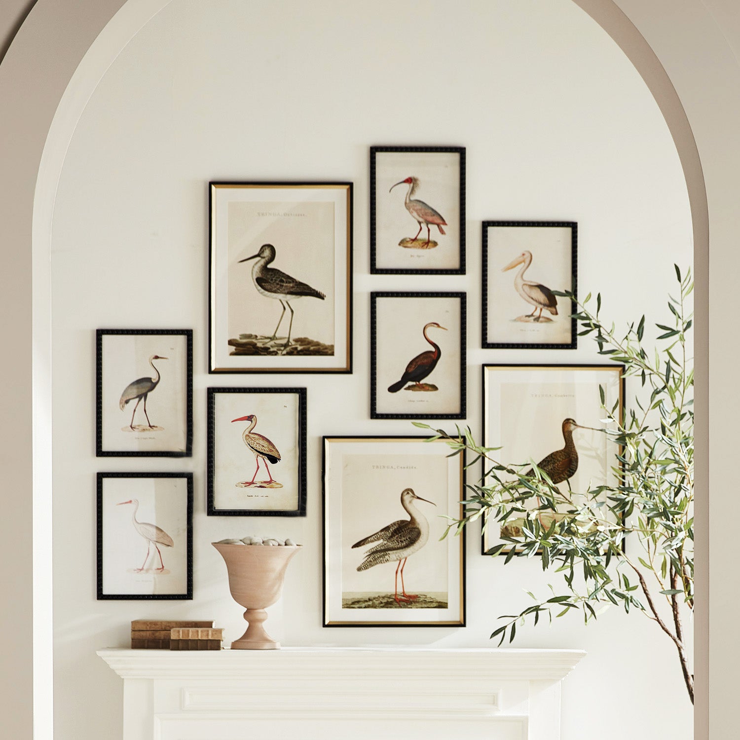 Aquatic birds framed wall art prints (set of 9) - stylish home accent (Image3).