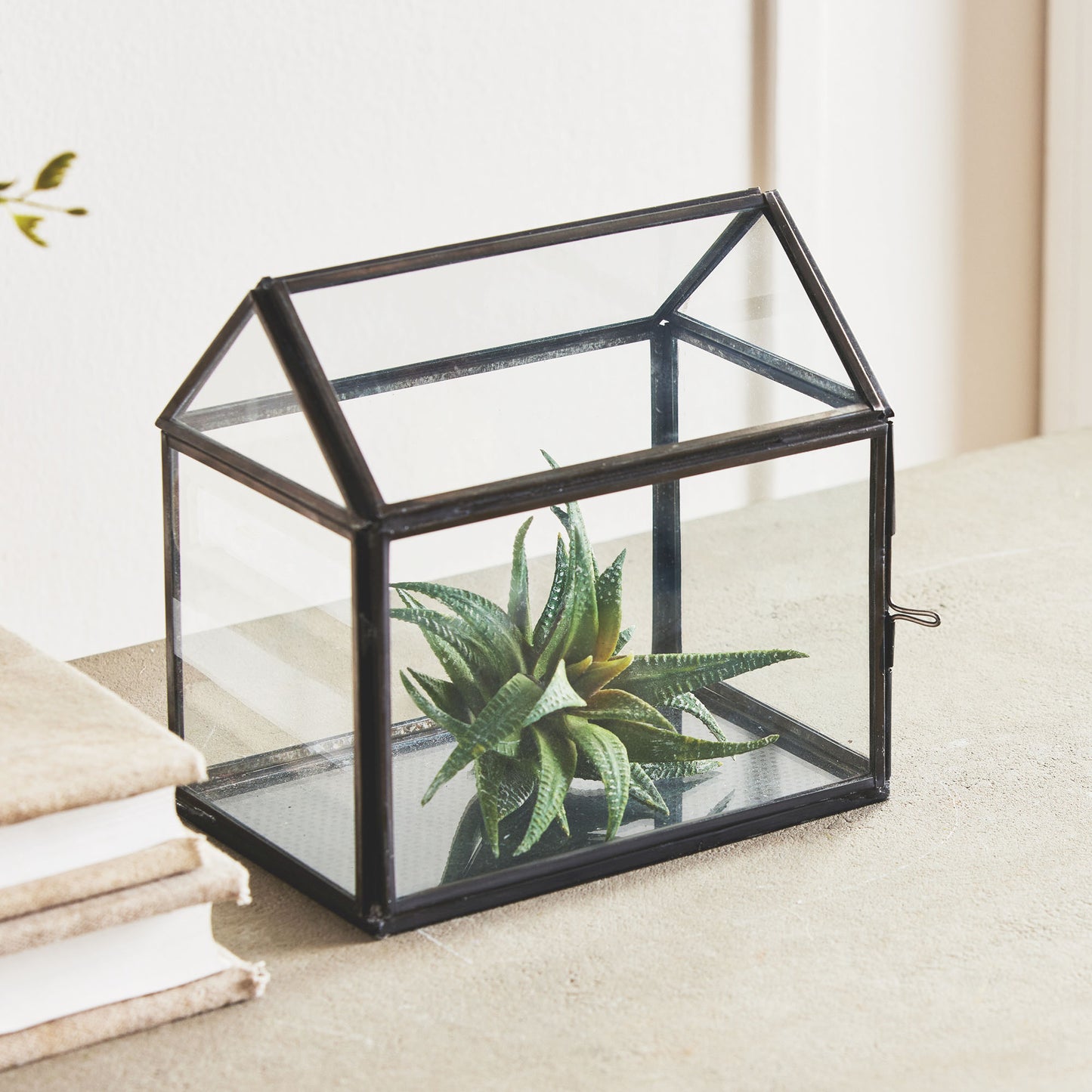 Black glass greenhouse terrarium 6 inch - stylish home accent (Image2).