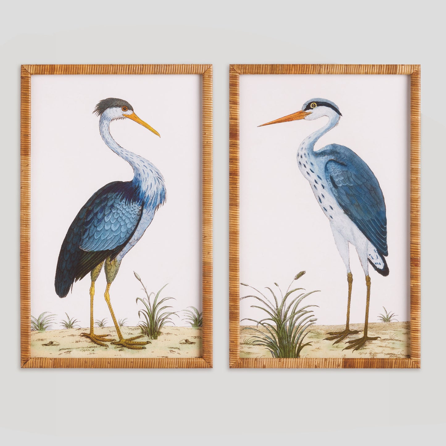 Blue heron wall art rattan frame (set of 2) - stylish home accent (Image1).