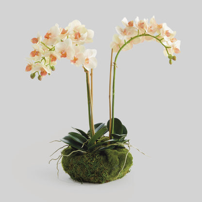 Blush faux phalaenopsis orchid 16 inch drop-in - stylish home accent (Image1).