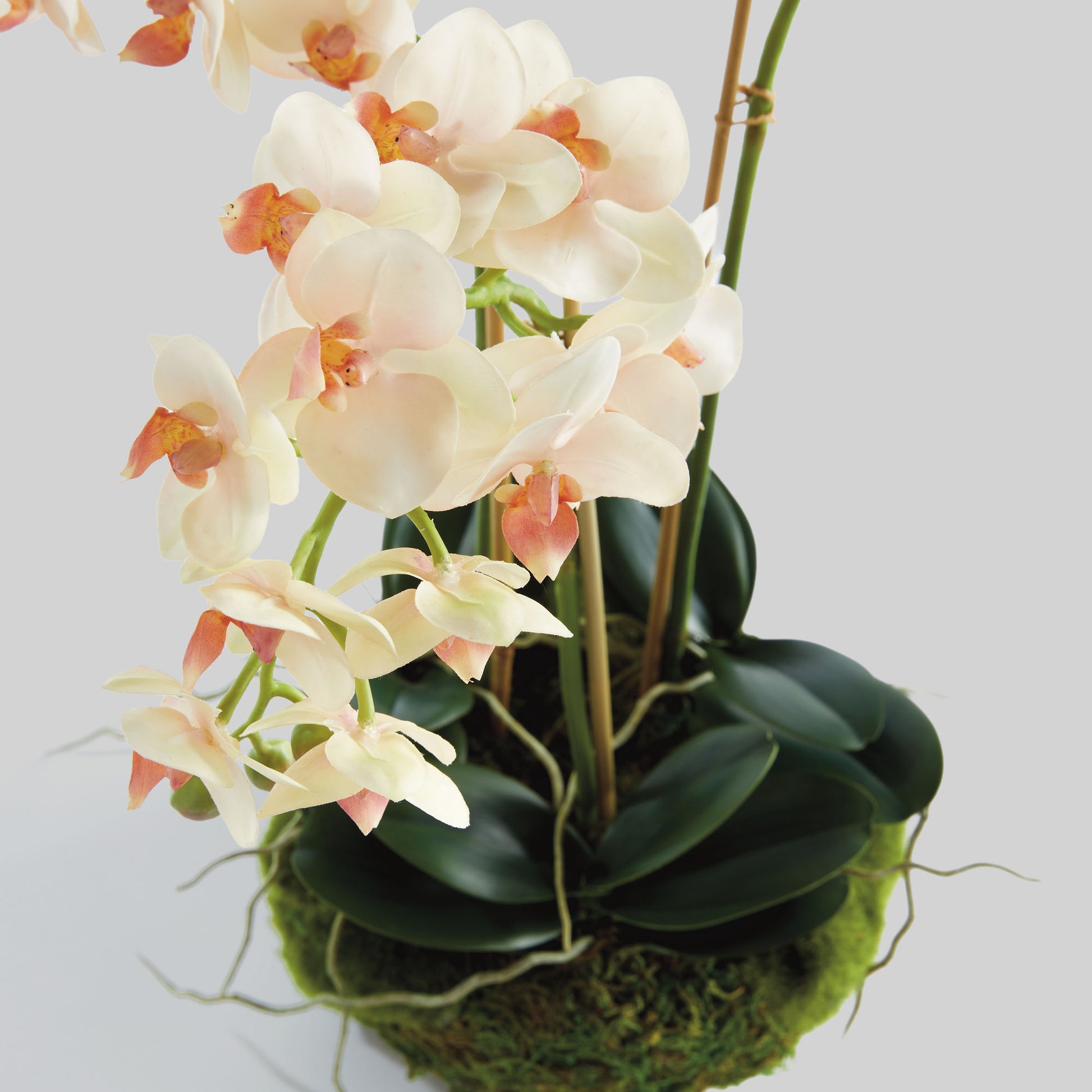 Blush faux phalaenopsis orchid 16 inch drop-in - stylish home accent (Image2).