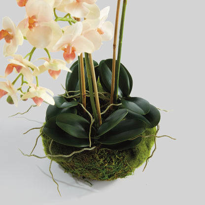 Blush faux phalaenopsis orchid 16 inch drop-in - stylish home accent (Image3).