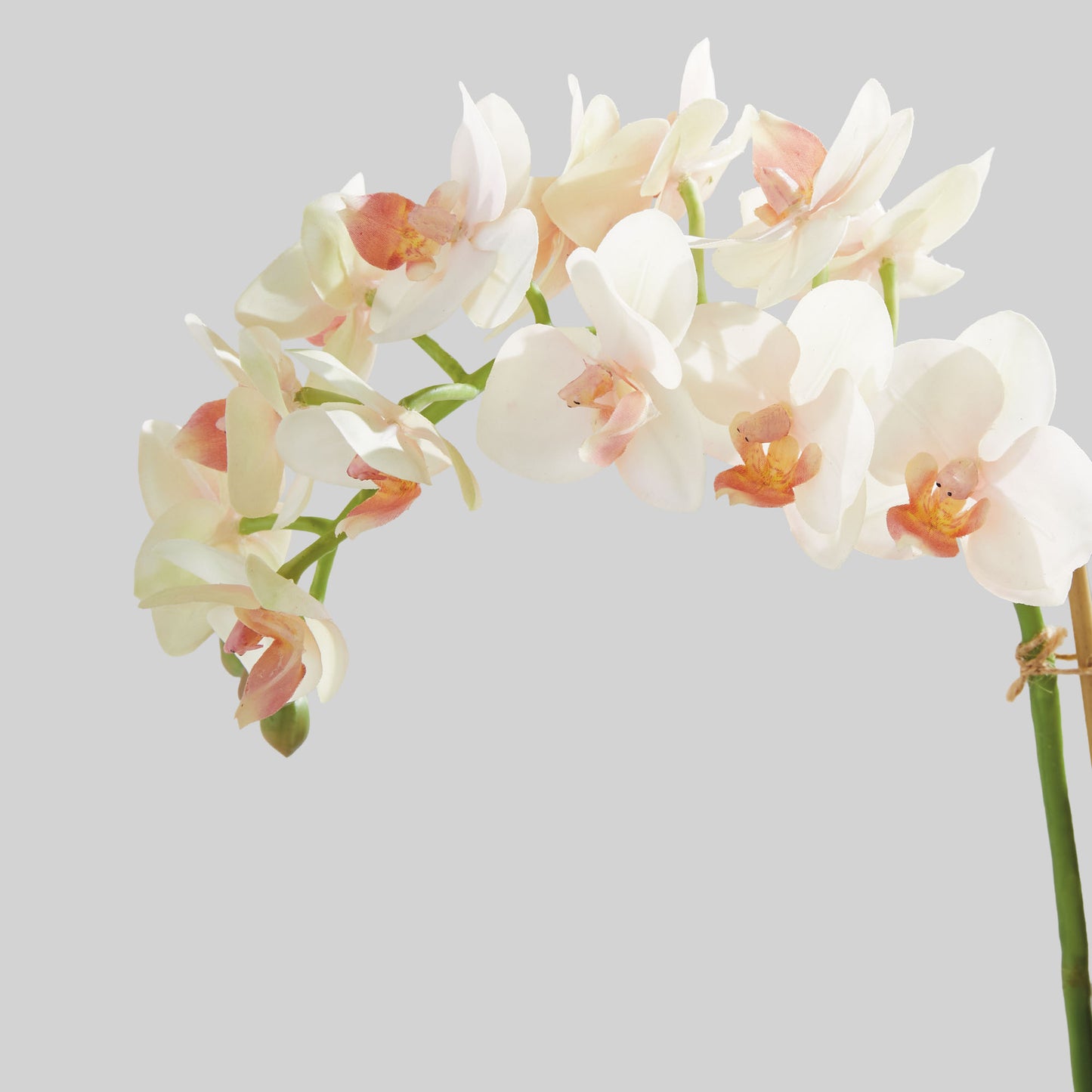 Blush faux phalaenopsis orchid 16 inch drop-in - stylish home accent (Image4).