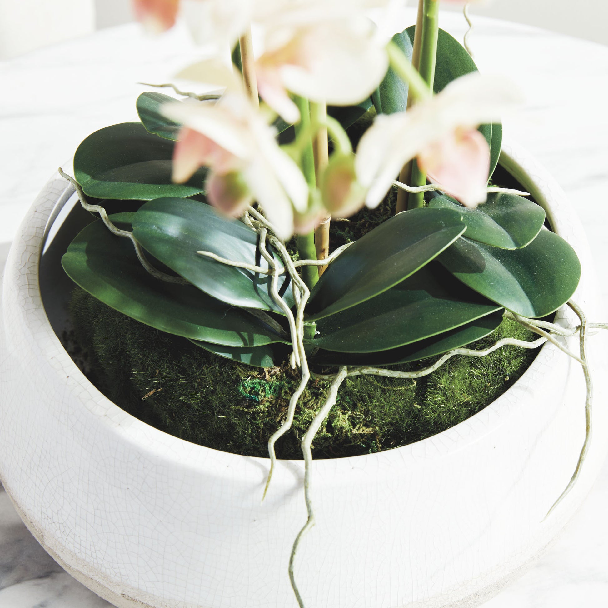 Blush faux phalaenopsis orchid 16 inch drop-in - stylish home accent (Image5).