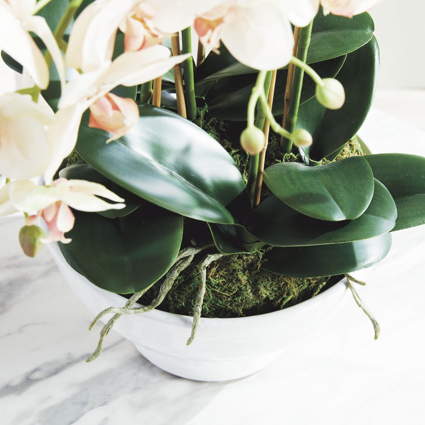 Blush faux phalaenopsis orchid drop-in 18.5 inch - stylish home accent (Image5).