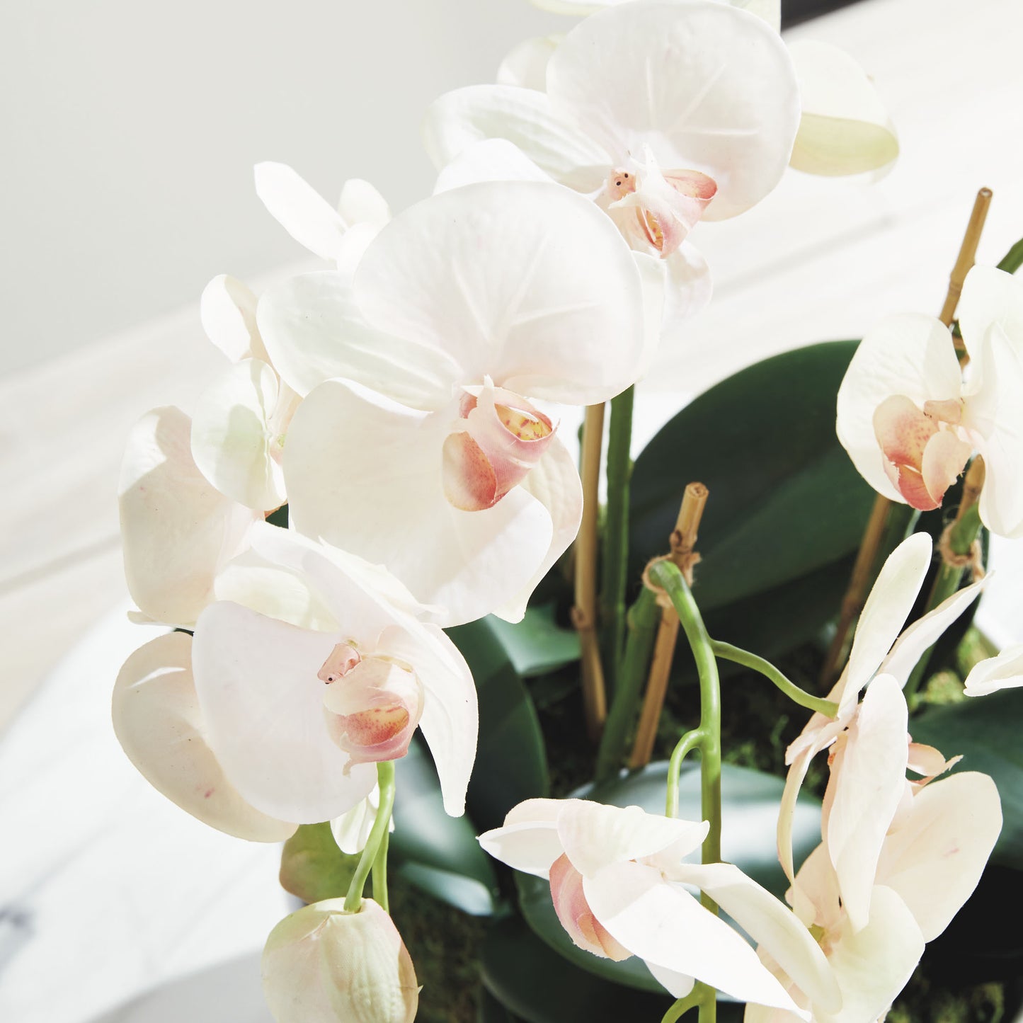 Blush faux phalaenopsis orchid drop-in 18.5 inch - stylish home accent (Image6).