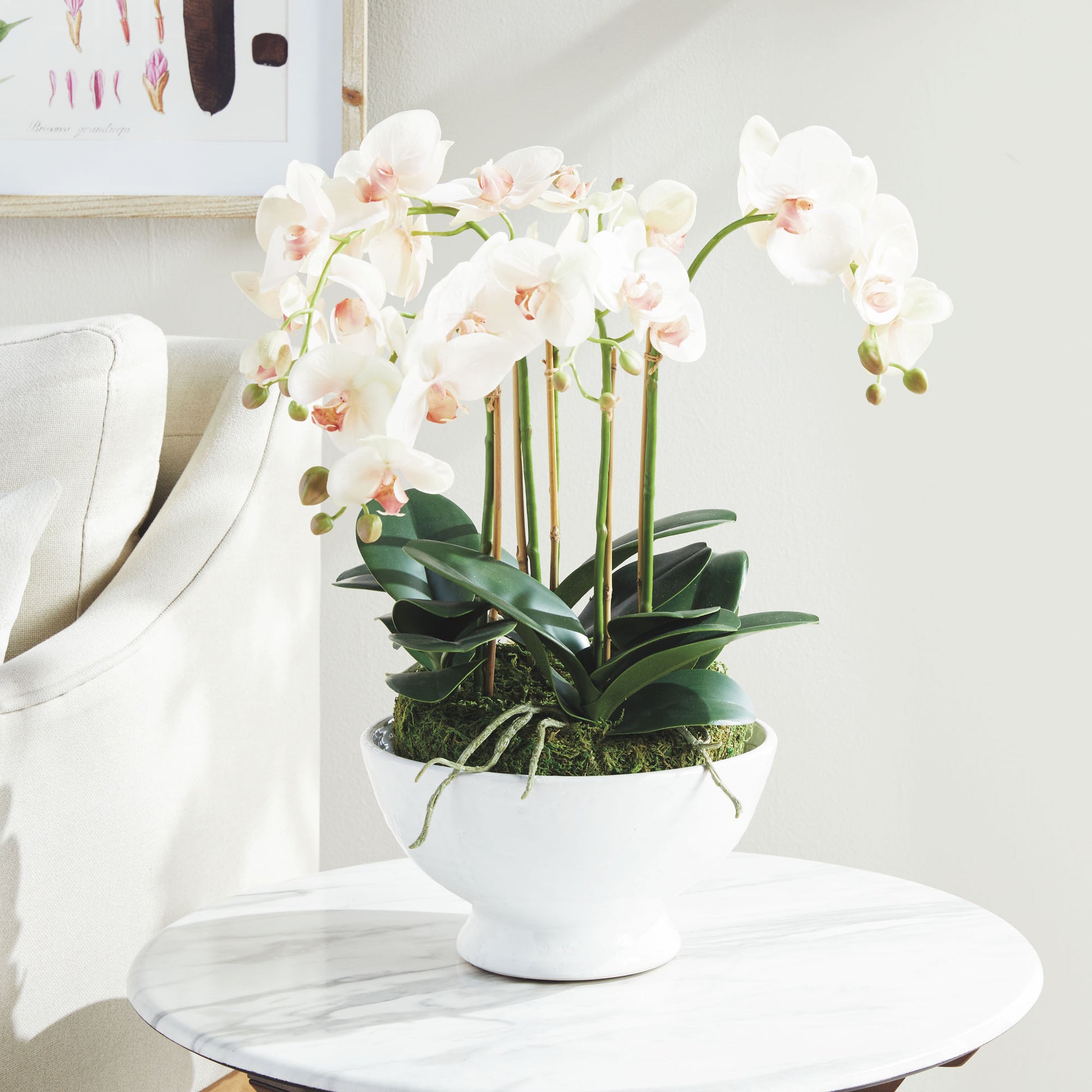 Blush faux phalaenopsis orchid drop-in 18.5 inch - stylish home accent (Image7).