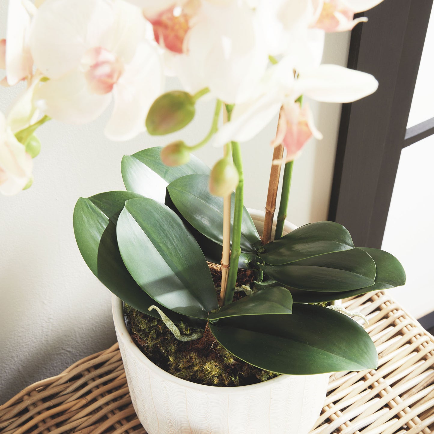 Blush faux phalaenopsis orchid drop-in 23 inch - stylish home accent (Image4).