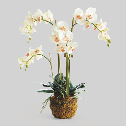 Blush faux phalaenopsis orchid drop-in 30 inch - stylish home accent (Image1).