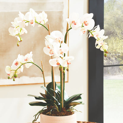 Blush faux phalaenopsis orchid drop-in 30 inch - stylish home accent (Image5).