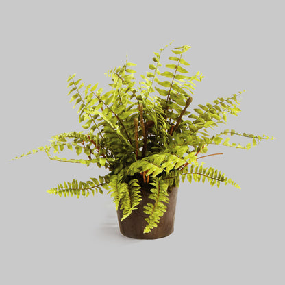 Boston fern faux floral drop-in, 12", with gray background.