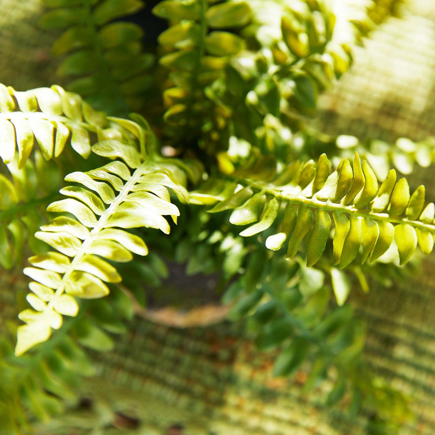 Boston fern faux floral drop-in, closeup view of top of plant.