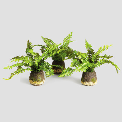 Boston fern faux floral drop-ins, set of 3, with gray background.