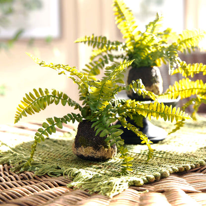 Boston fern faux floral drop-ins, set of 3, stylized on table.