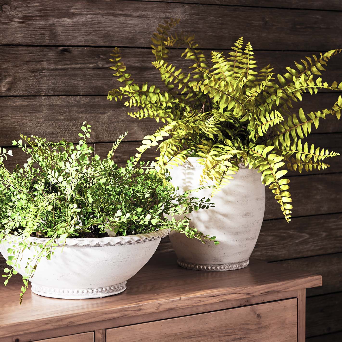 Boston fern faux floral drop-ins, stylized in pots on wood dresser.