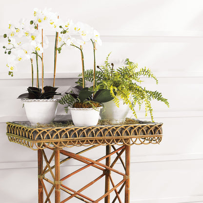 Boston fern faux floral drop-in stylized on table with orchids.