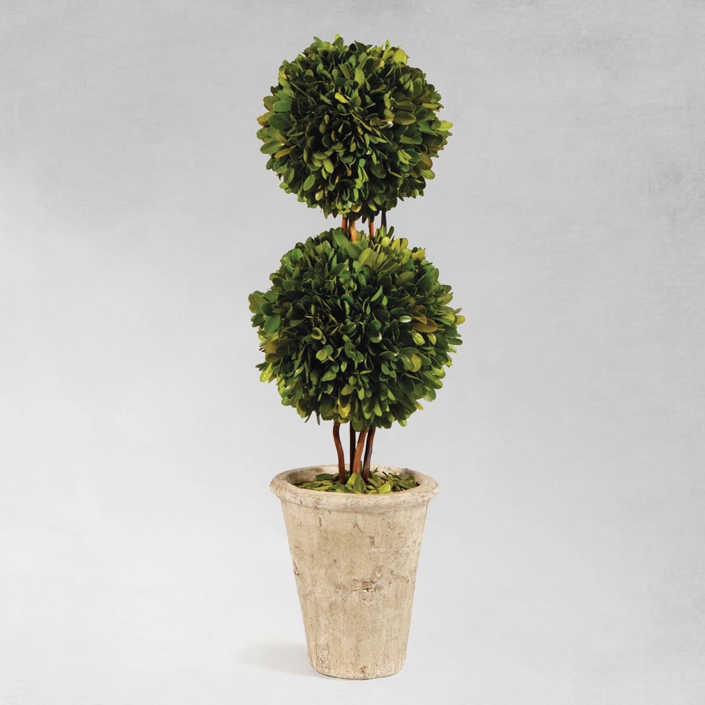 Boxwood double sphere topiary 20 inch - stylish home accent (Image1).
