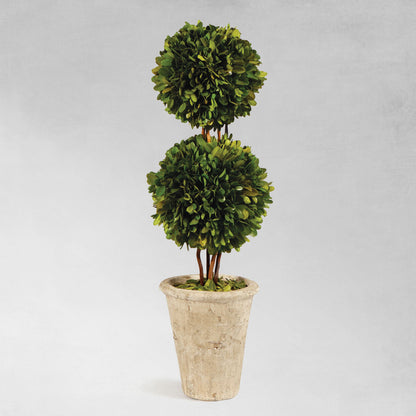 Boxwood double sphere topiary 20 inch - stylish home accent (Image1).