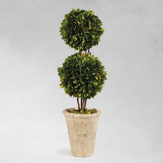 Boxwood double sphere topiary 20 inch - stylish home accent (Image1).