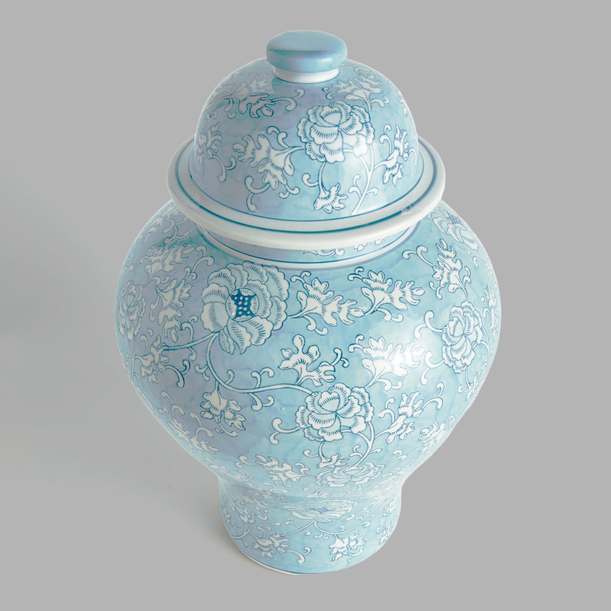 Chinoiserie light blue hand-painted porcelain ginger jar - stylish home accent (Image5).