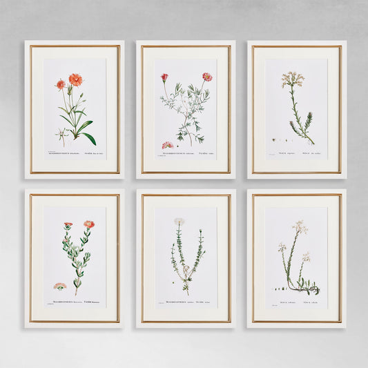 Classic botanicals gallery wall art set on gray wall.