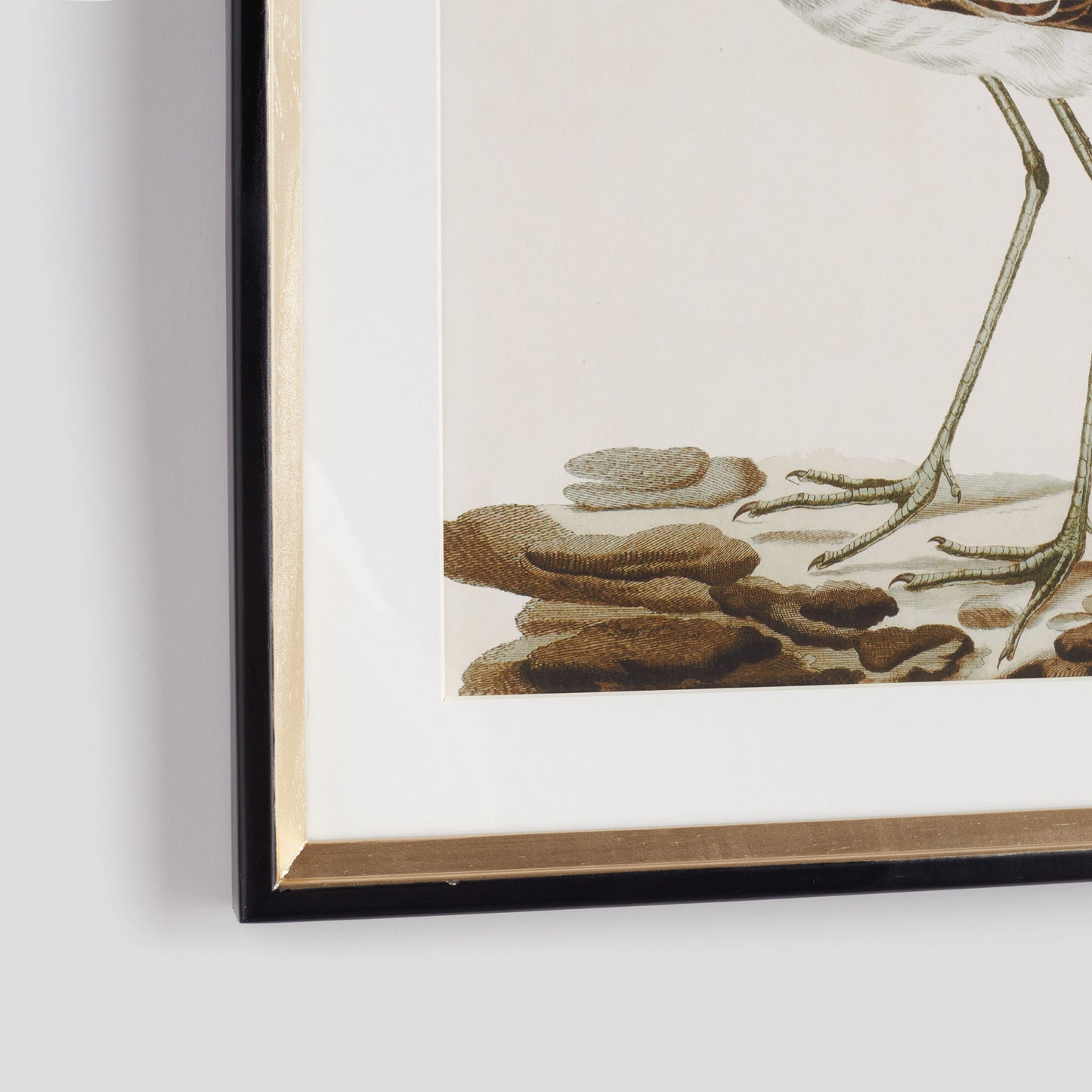 Coastal bird study framed wall art (set of 3) - stylish home accent (Image2).
