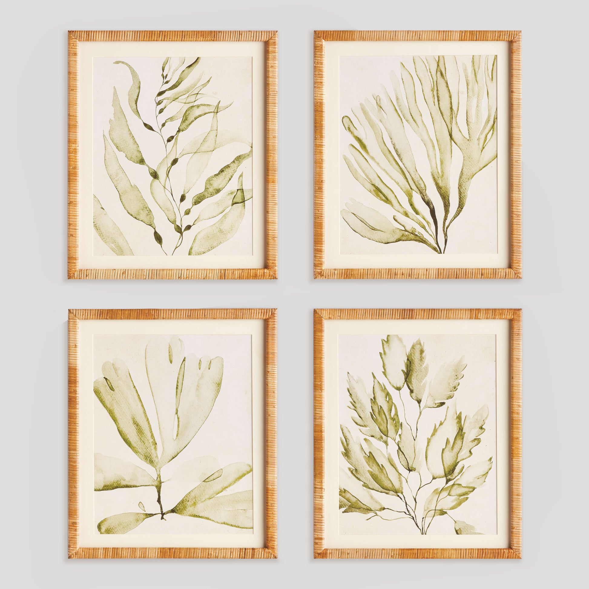 Coastal greenery prints (set of 4) - stylish home accent (Image1).