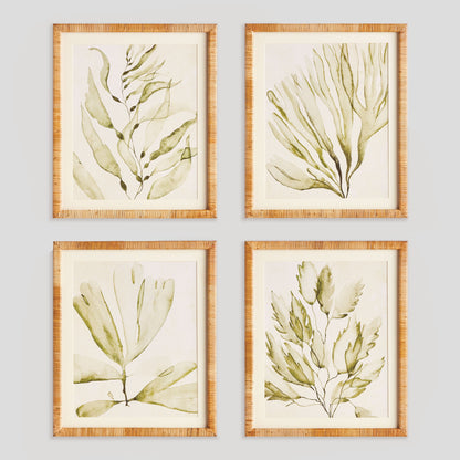 Coastal greenery prints (set of 4) - stylish home accent (Image1).