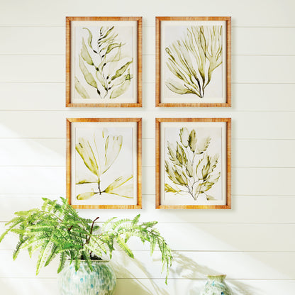 Coastal greenery prints (set of 4) - stylish home accent (Image5).