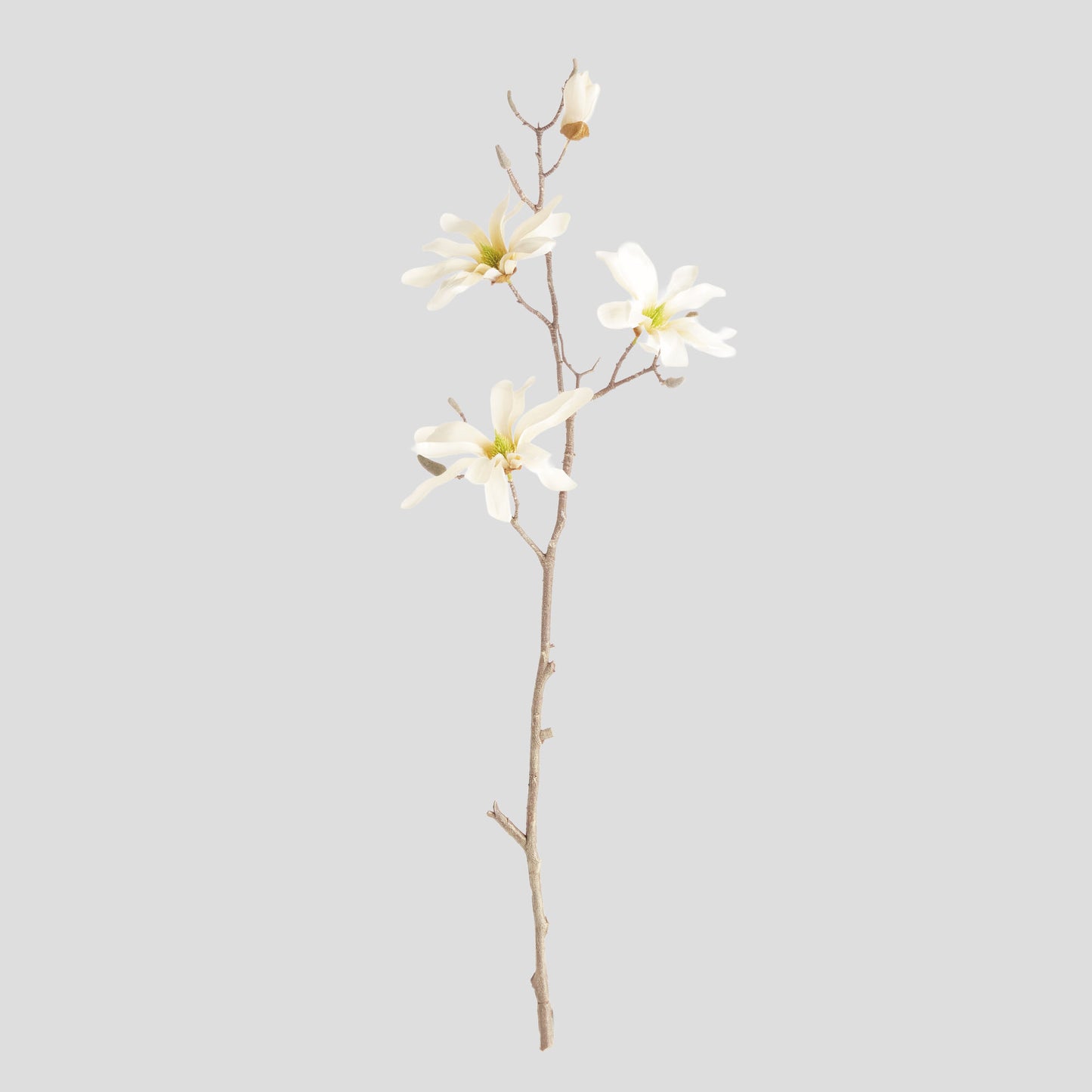 Cream faux star magnolia branches (set of 6) - stylish home accent (Image1).