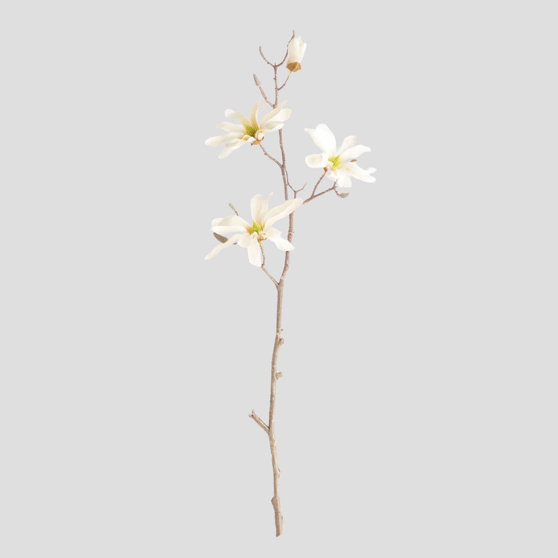Cream faux star magnolia branches (set of 6) - stylish home accent (Image1).