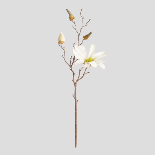 Cream faux star magnolia stems (set of 6) - stylish home accent (Image1).