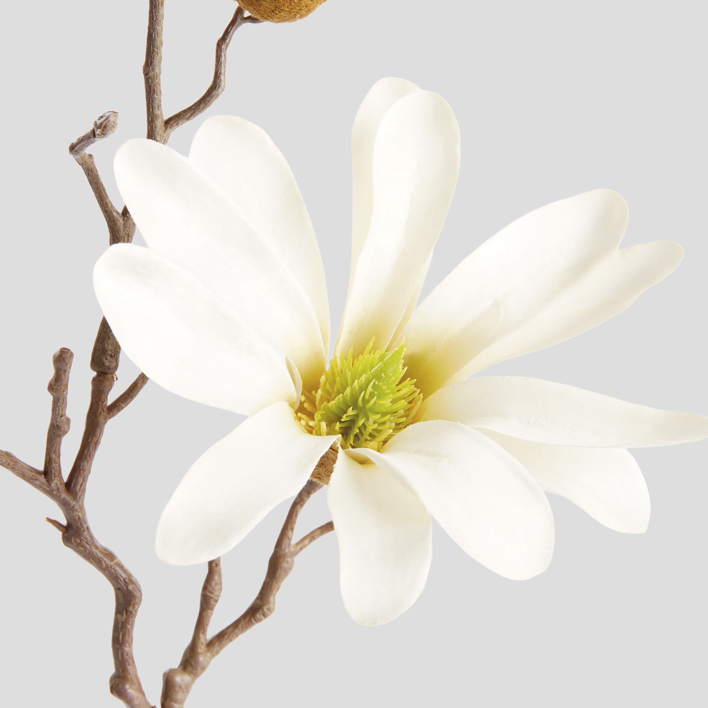 Cream faux star magnolia stems (set of 6) - stylish home accent (Image2).