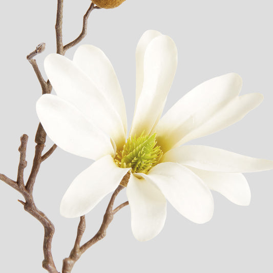 Cream faux star magnolia stems (set of 6) - stylish home accent (Image2).