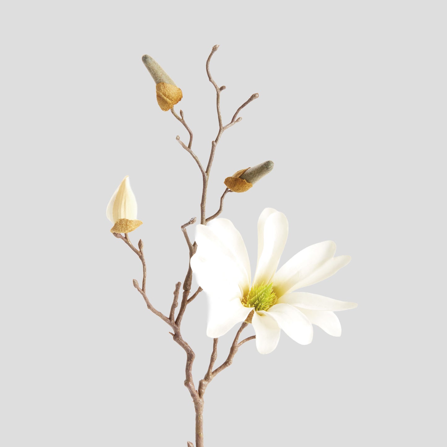 Cream faux star magnolia stems (set of 6) - stylish home accent (Image3).