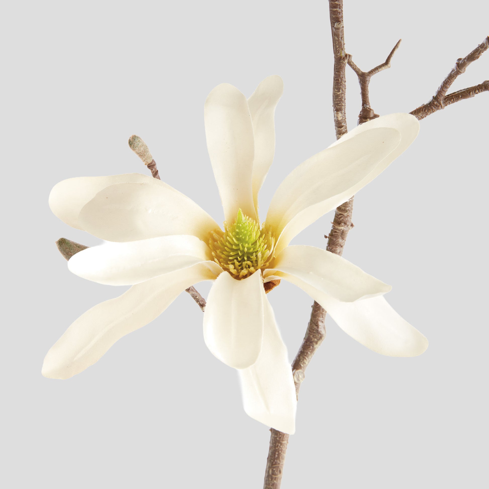 Cream faux star magnolia stems (set of 6) - stylish home accent (Image5).