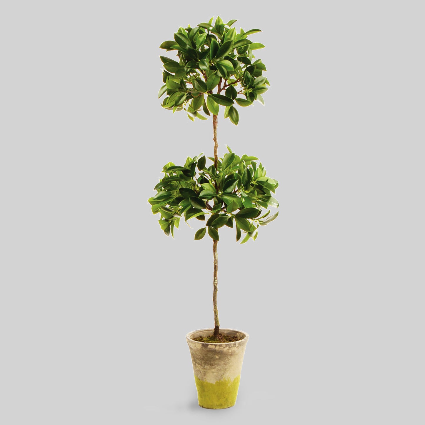 Faux ficus topiary in ceramic pot with light gray background.