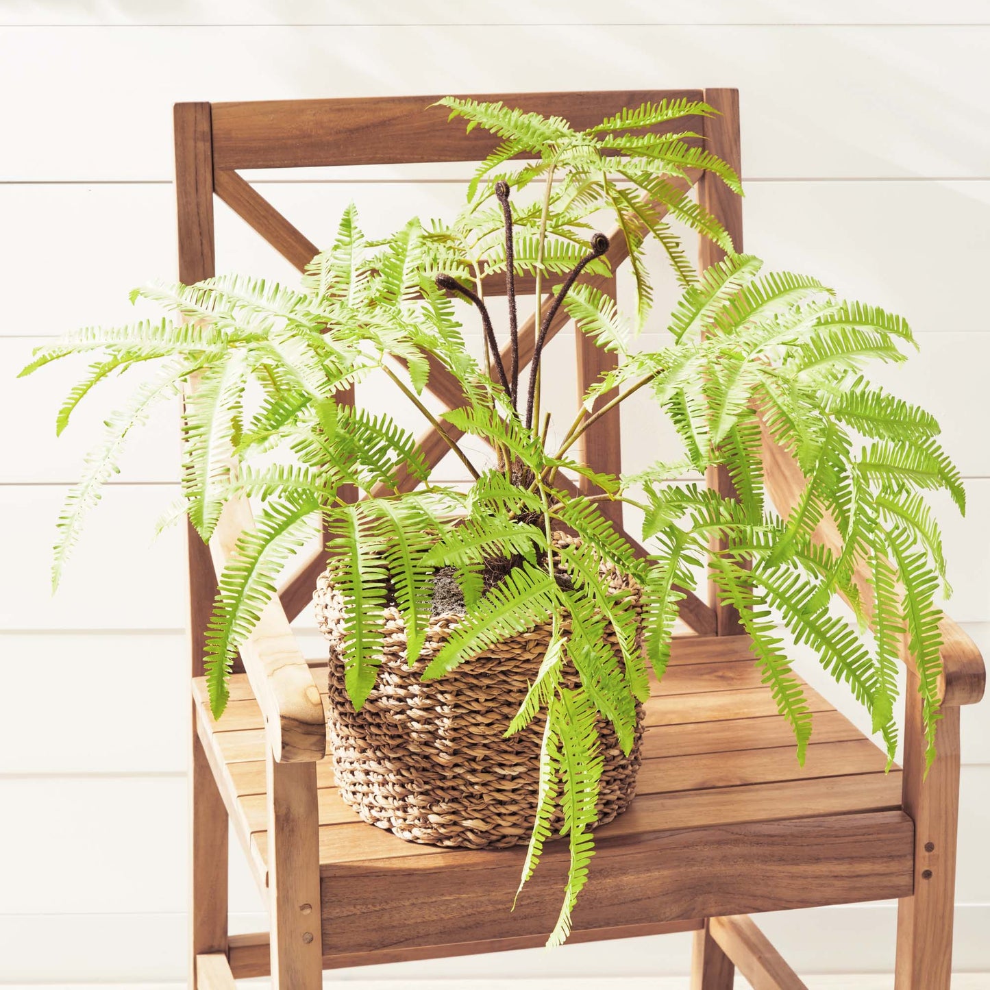 Faux forest fern drop-in 30 inch - stylish home accent (Image4).