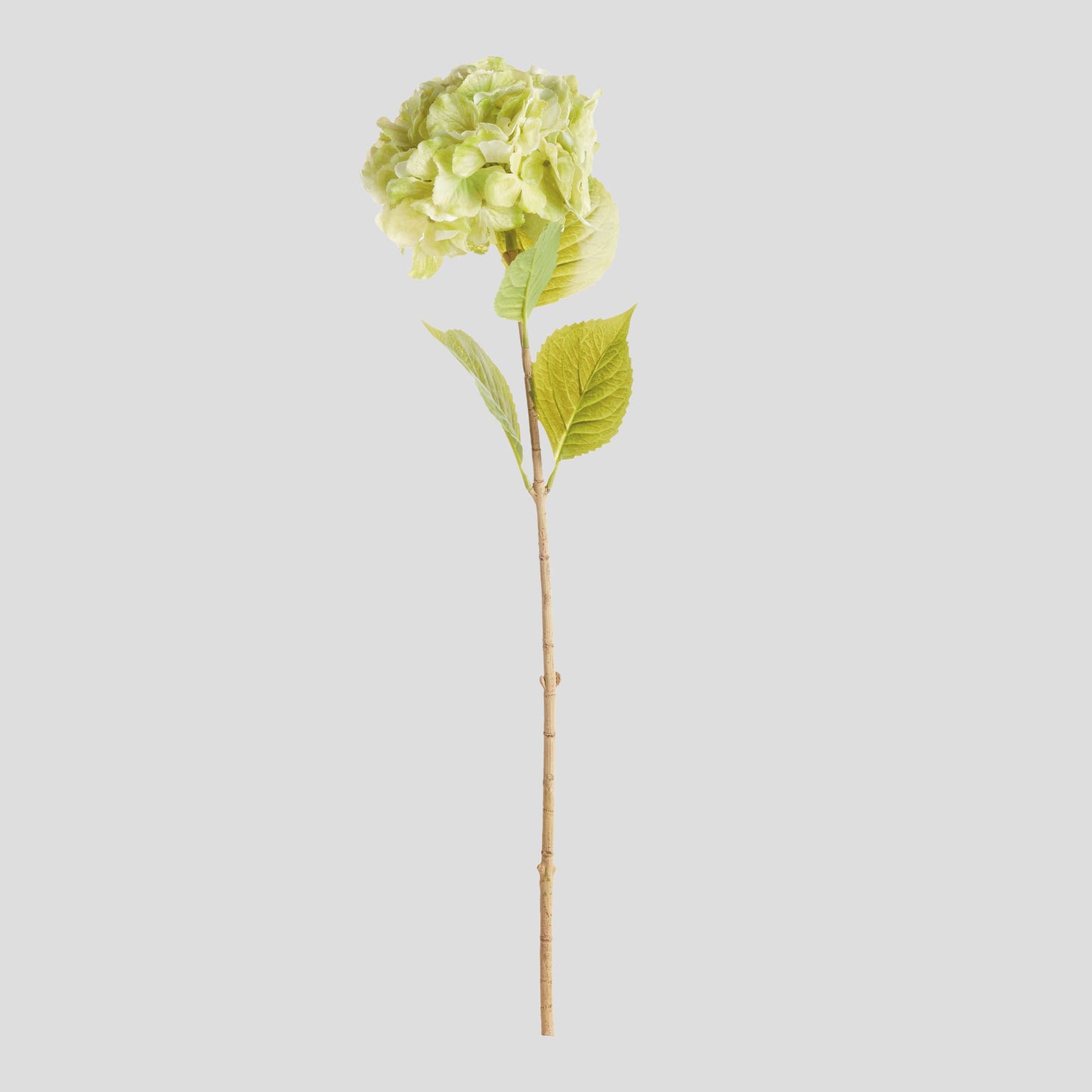 Faux green hydrangea stems (set of 4) - stylish home accent (Image1).
