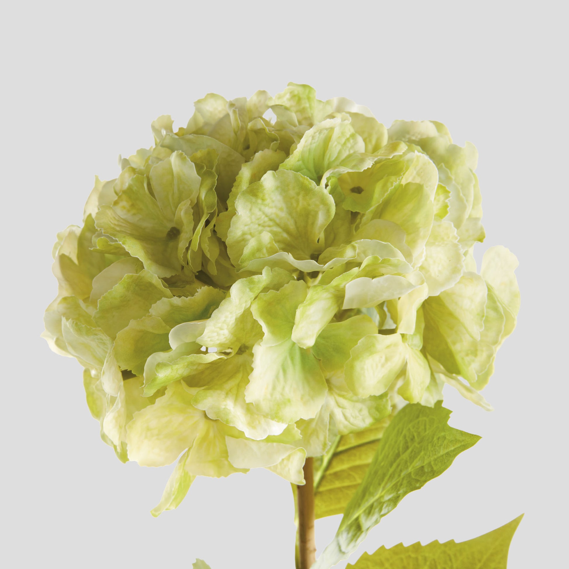 Faux green hydrangea stems (set of 4) - stylish home accent (Image2).