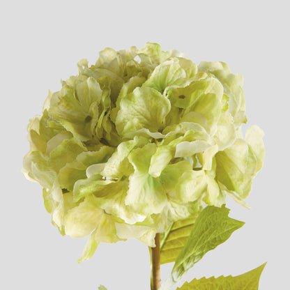 Faux green hydrangea stems (set of 4) - stylish home accent (Image2).