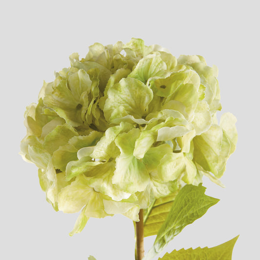 Faux green hydrangea stems (set of 4) - stylish home accent (Image2).